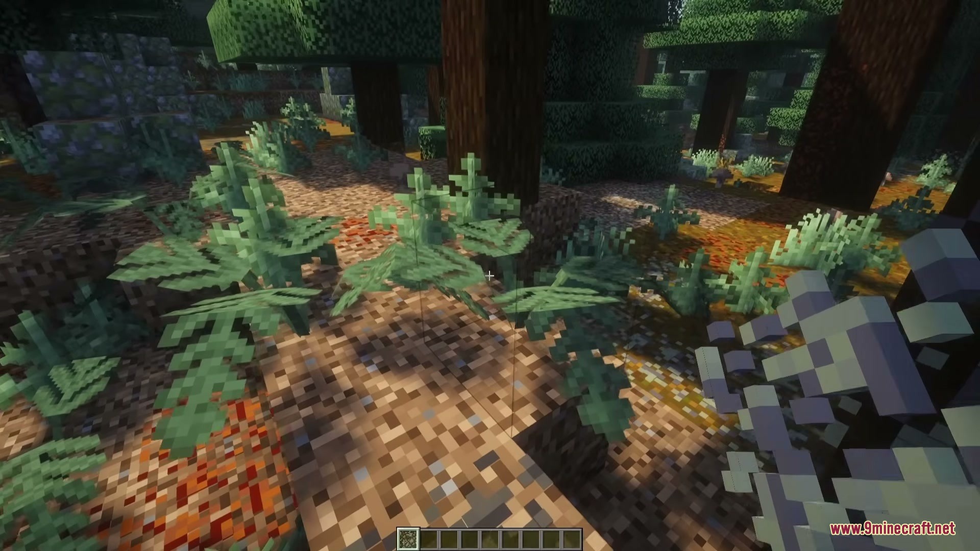 Wild Flora Mod Screenshot 3 Wild bracken ferns growing on the ground in a dense taiga forest