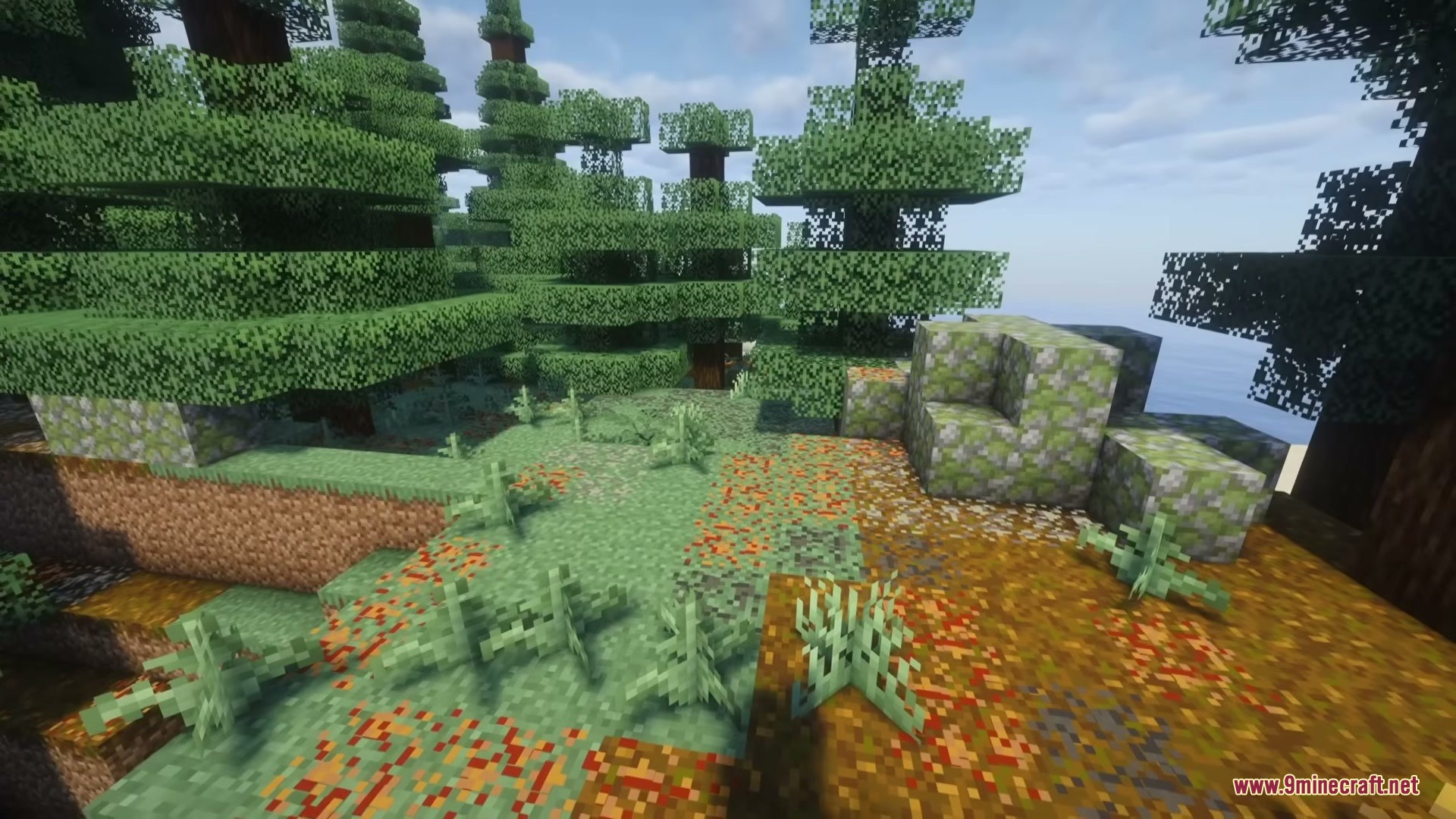 Wild Flora Mod Screenshot 5 New lichen and bracken ferns decorating the ground in a taiga biome