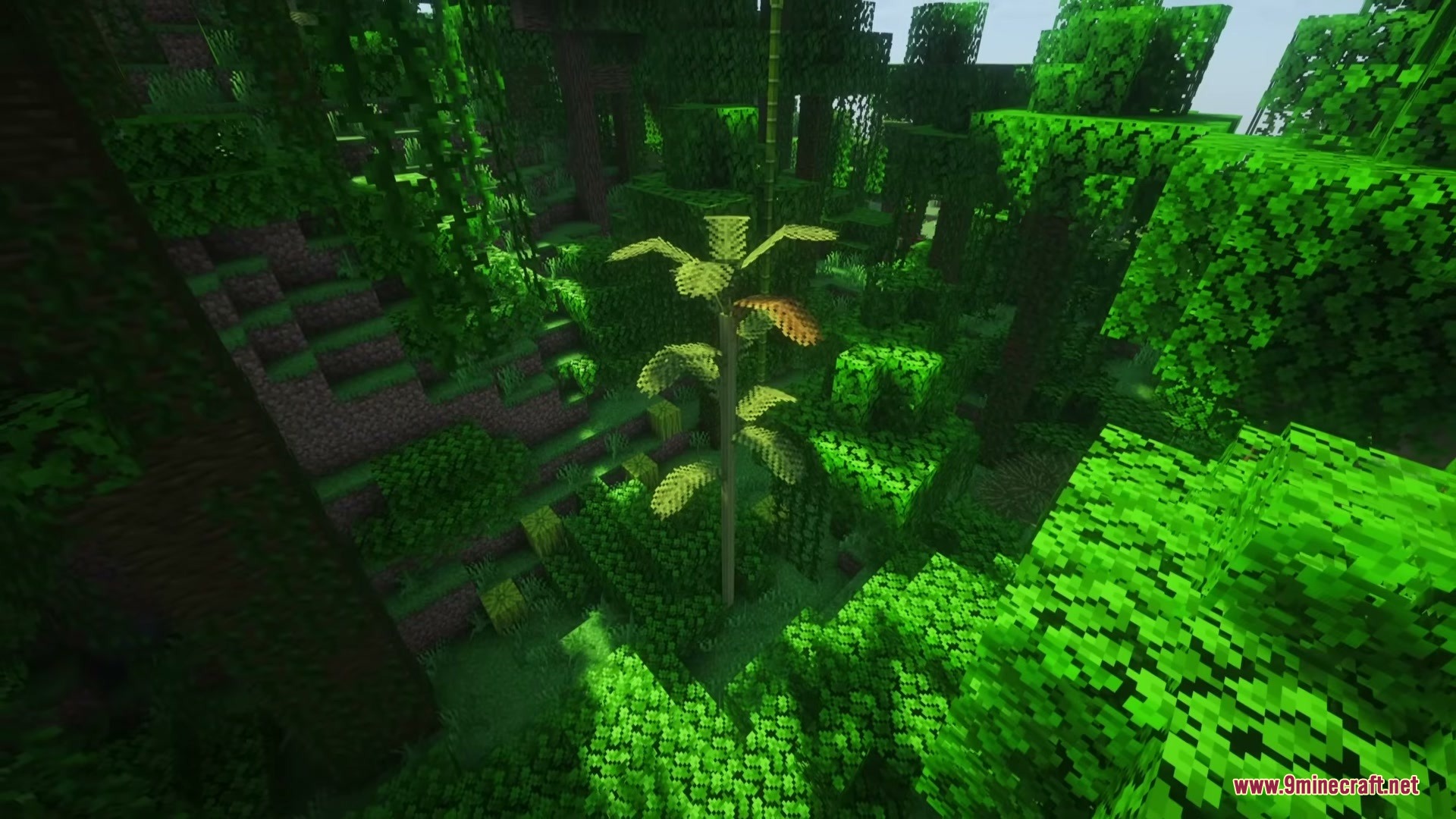Wild Flora Mod Screenshot 6 Tall Areca palms with broad leaves growing in a dense tropical jungle
