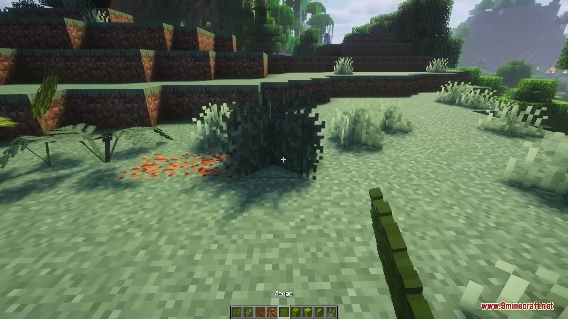 Wild Flora Mod Screenshot 7 A player looking at green sedge plants and orange lichen in Minecraft