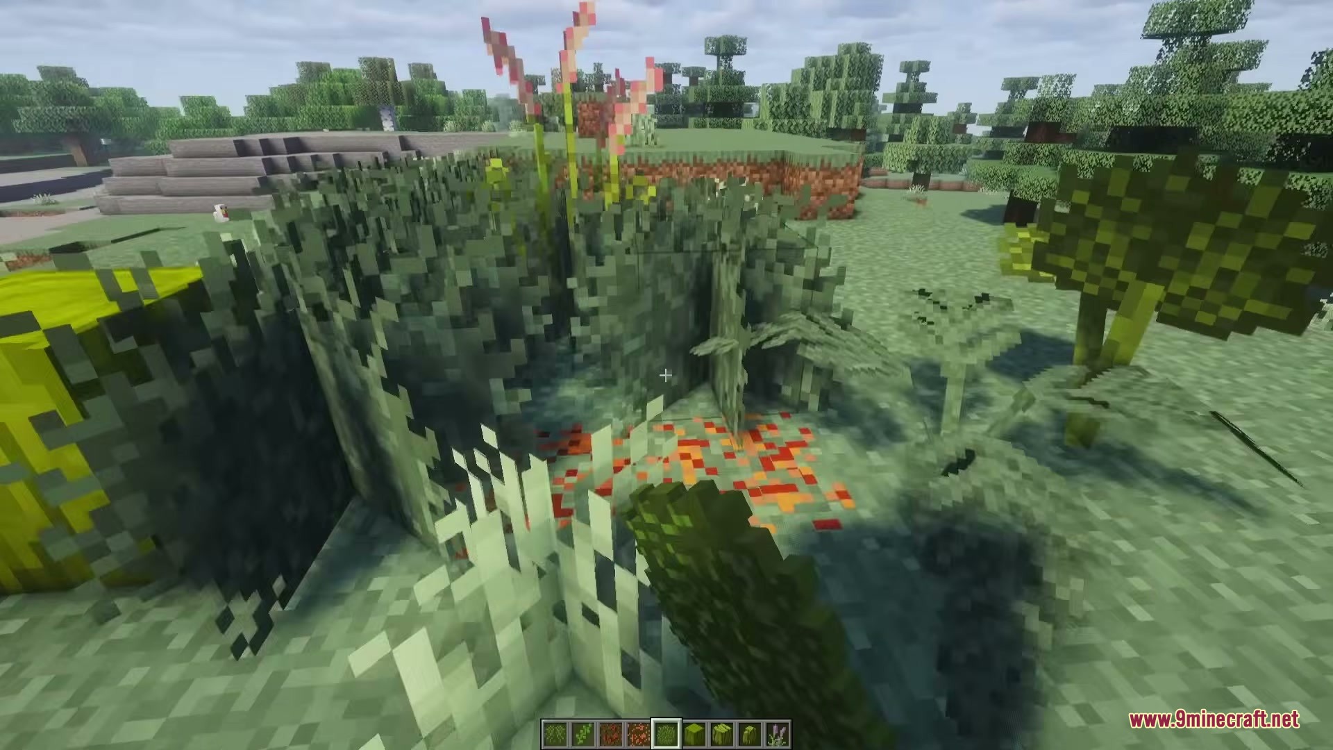 Wild Flora Mod Screenshot 8 Dense bracken ferns and orange lichen spread across the forest floor