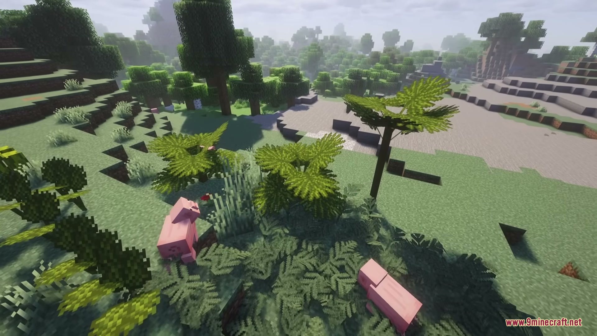 Wild Flora Mod Screenshot 9 Pink pigs wandering through dense bracken ferns and tall decorative plants in a forest