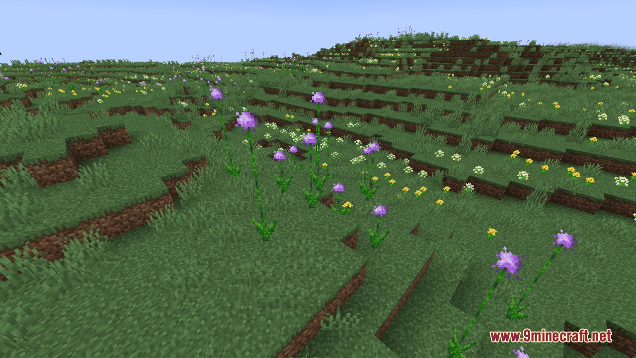 Beautiful tall purple flowers scattered across a lush green field in Minecraft