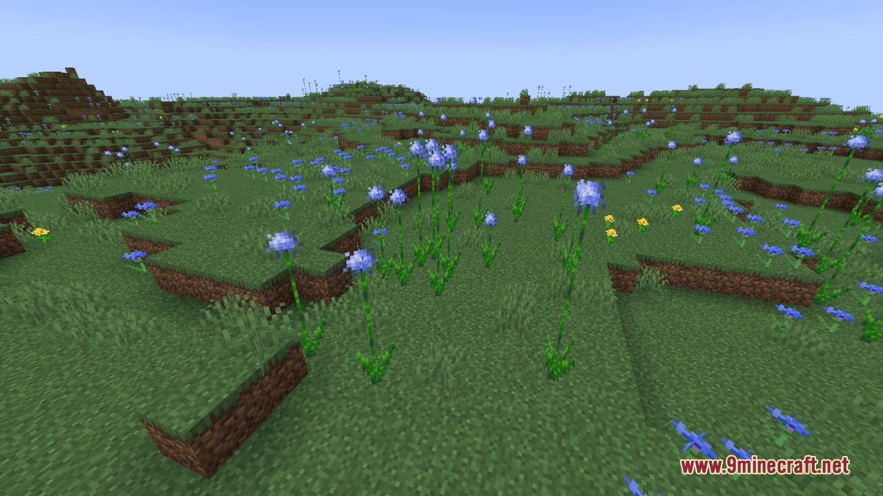 Bright blue flowers blooming on a grassy hillside under a clear sky