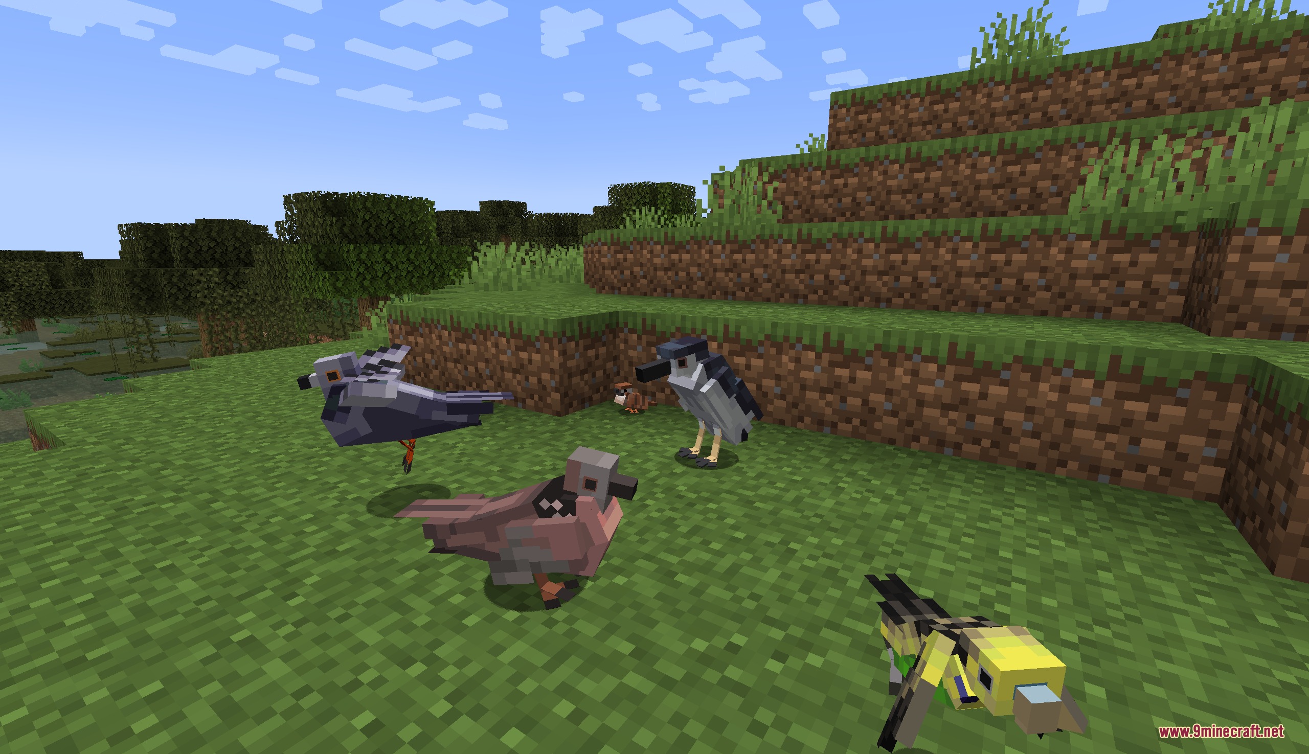 Wildwing Chronicles Mod Screenshot 1 Various wild bird species like pigeons and herons standing on the grass
