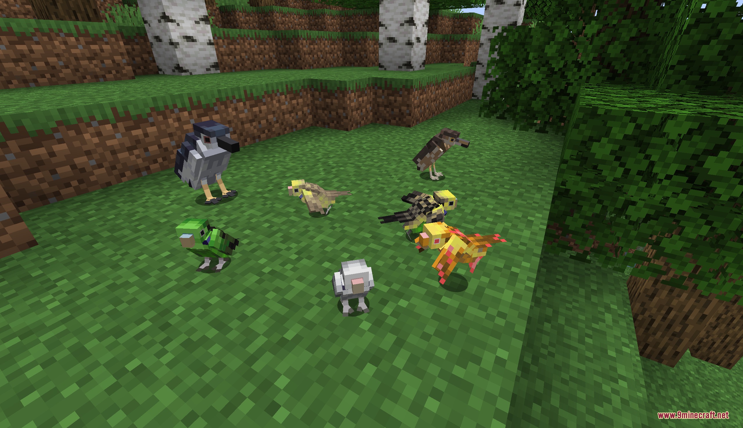 Wildwing Chronicles Mod Screenshot 2 A collection of colorful birds gathered together in a Minecraft birch forest