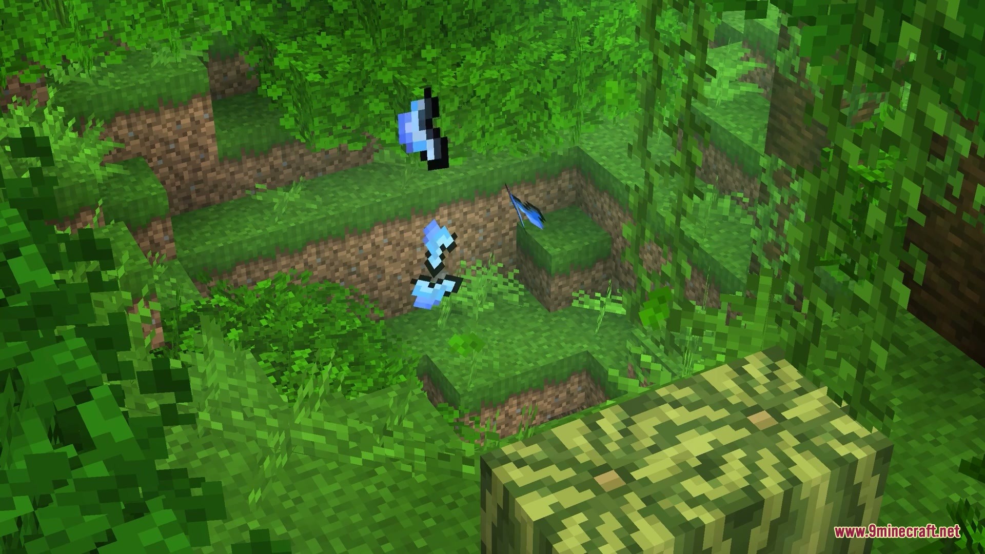 Wildwood Echoes Mod Screenshot 6 Blue butterflies fluttering near vines and melons in a dense jungle biome
