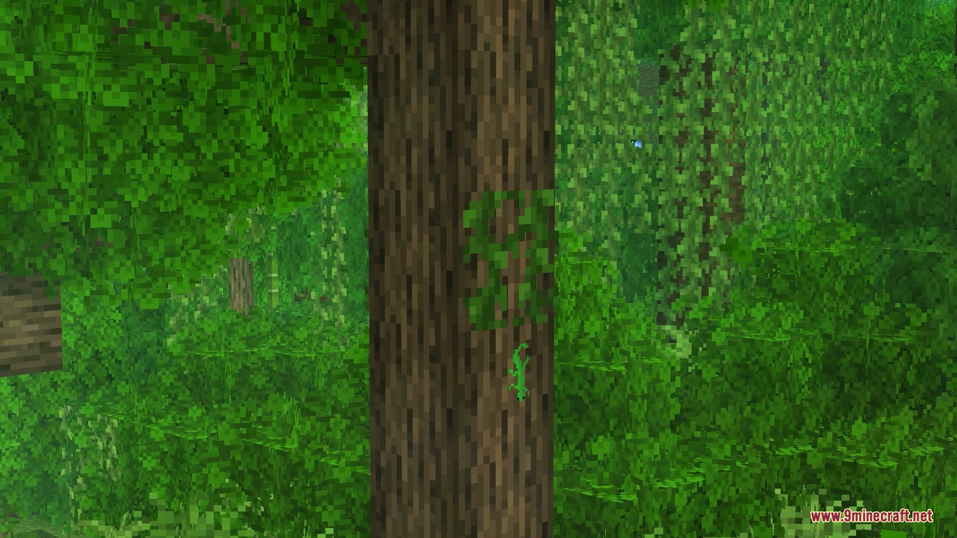Wildwood Echoes Mod Screenshot 7 A small green gecko climbs up a jungle tree trunk in Minecraft