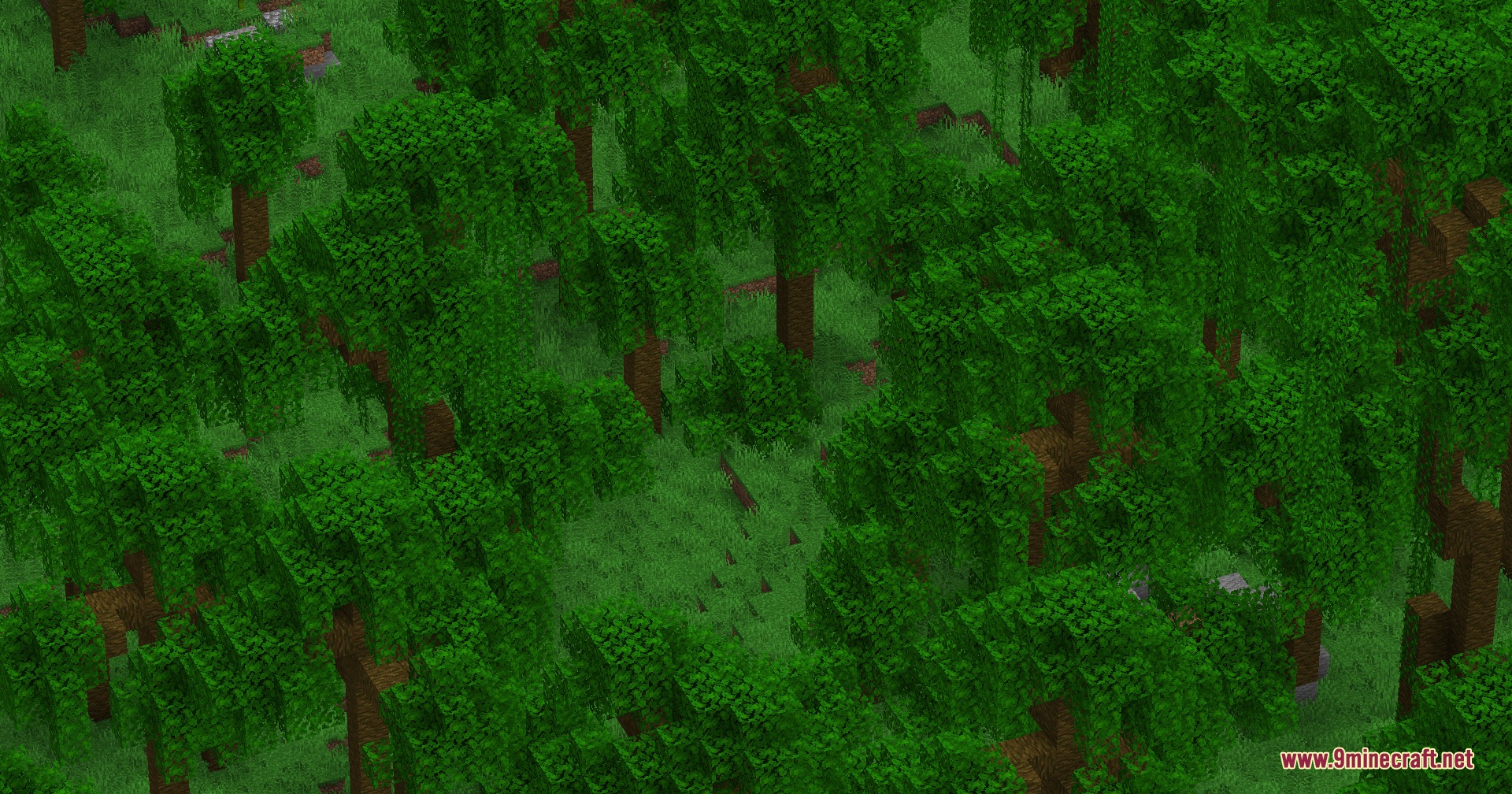 Wildwood Topography Mod Screenshot 6 High angle view of a dense jungle with thick green tree canopies
