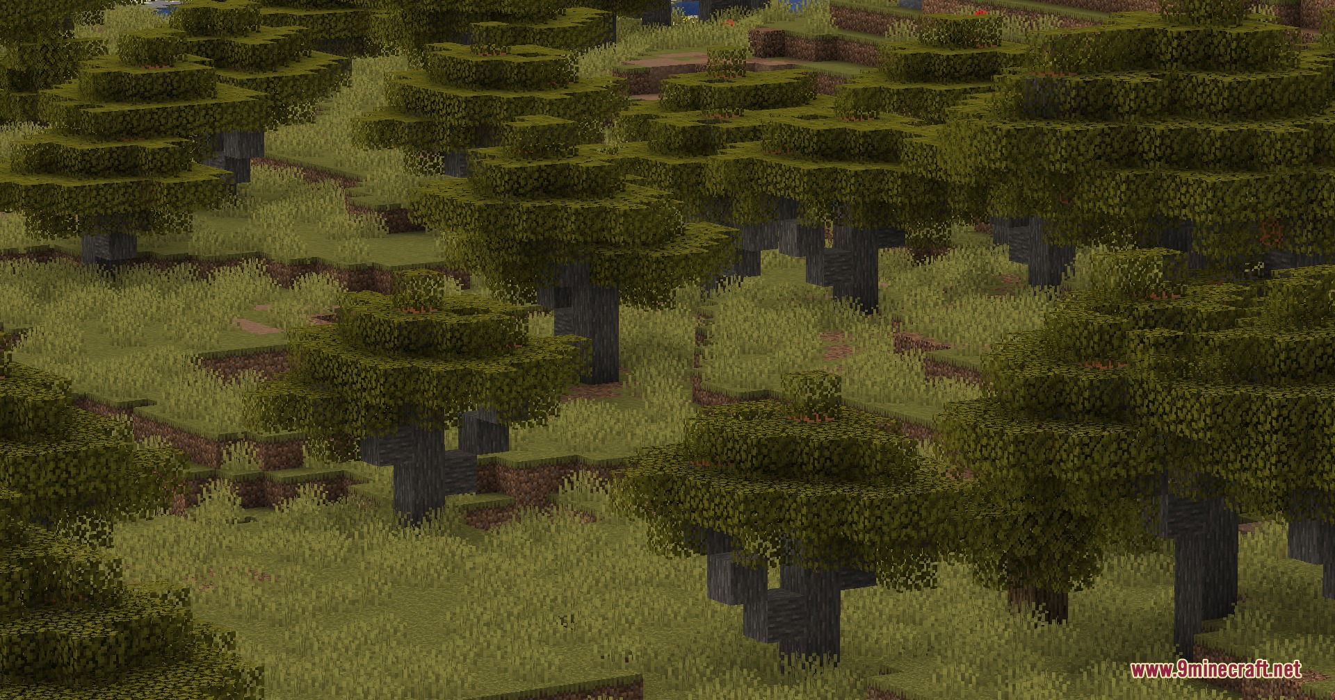 Wildwood Topography Mod Screenshot 7 Redesigned vanilla trees with realistic branches and foliage in a grassy biome