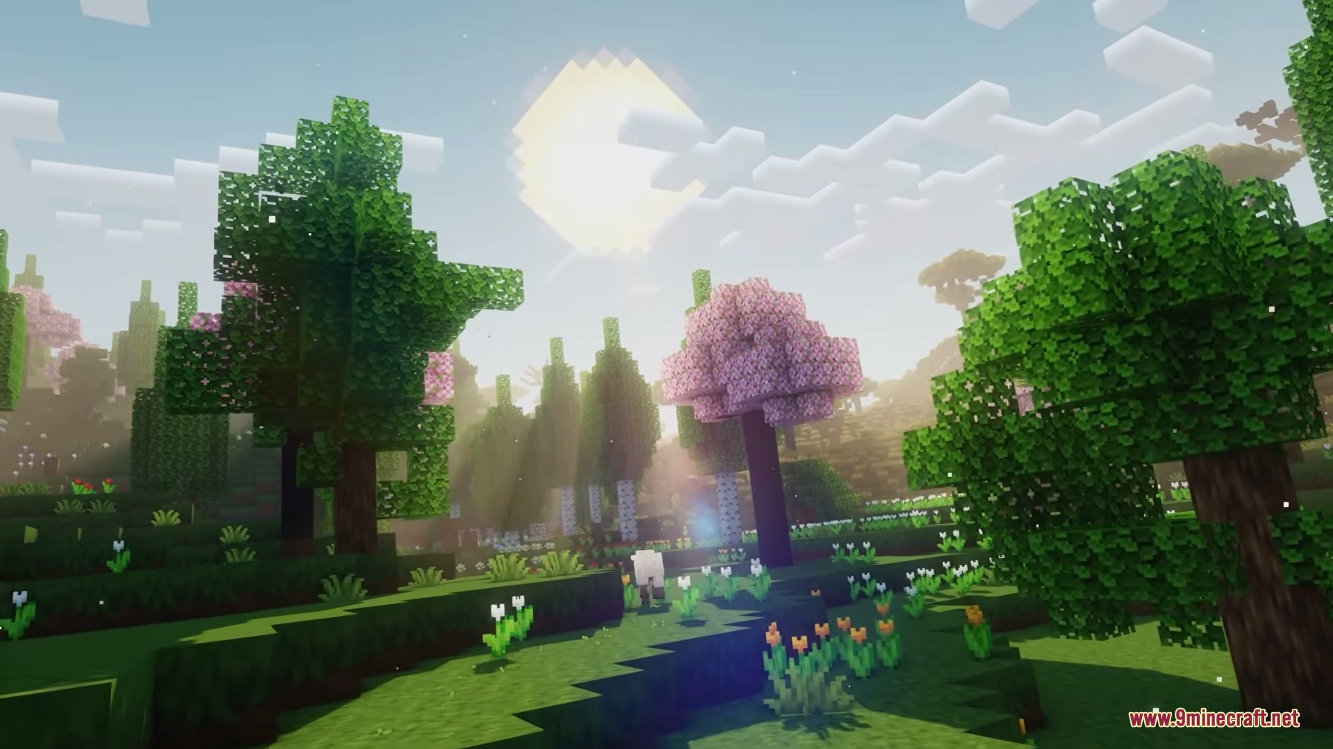 Woodlands the Core Mod Screenshot 1 Lush Minecraft forest with custom trees and sunlight filtering through the leaves
