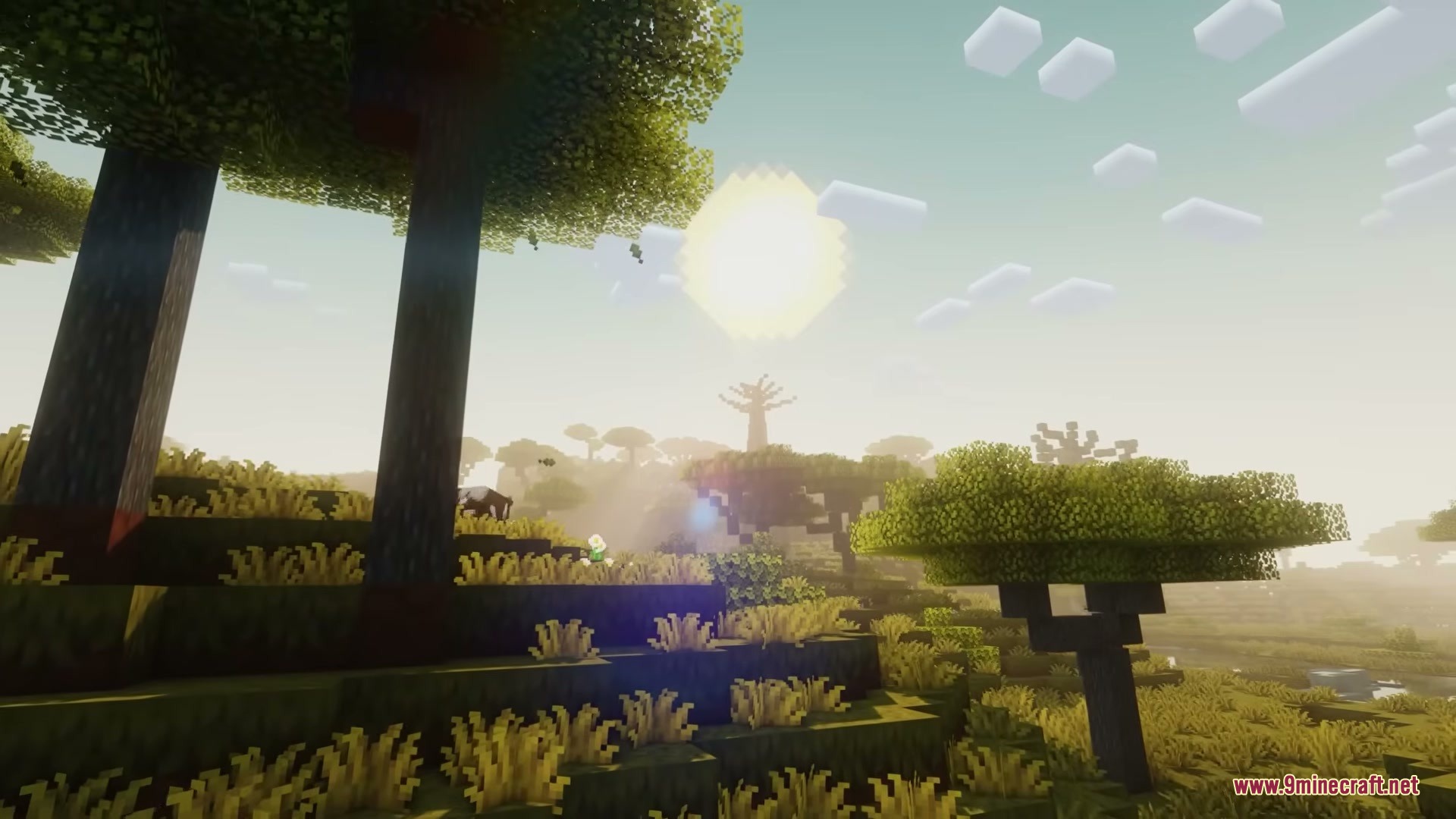 Woodlands the Core Mod Screenshot 2 Scenic savanna biome with flat topped acacia trees and golden grass under sunlight