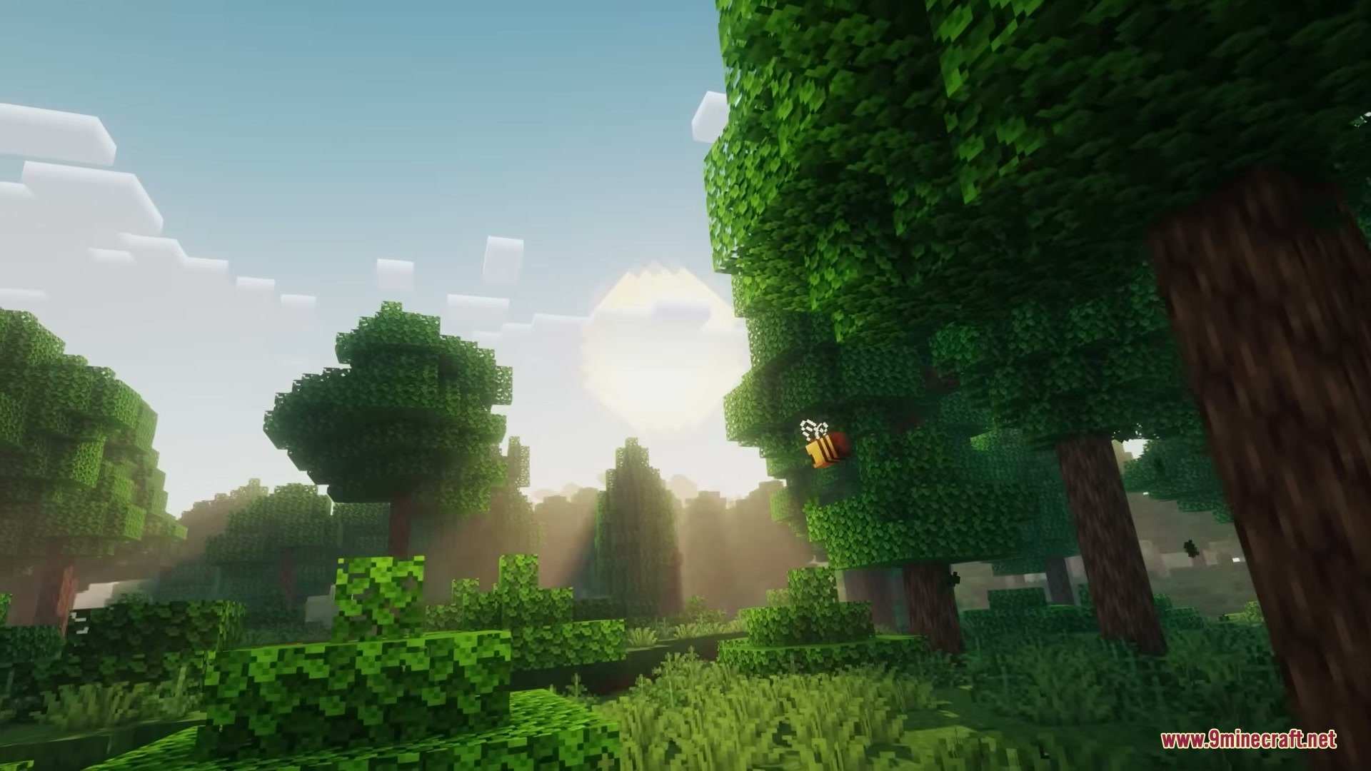 Woodlands the Core Mod Screenshot 3 A small bee flies near a large tree in a sunny Minecraft forest