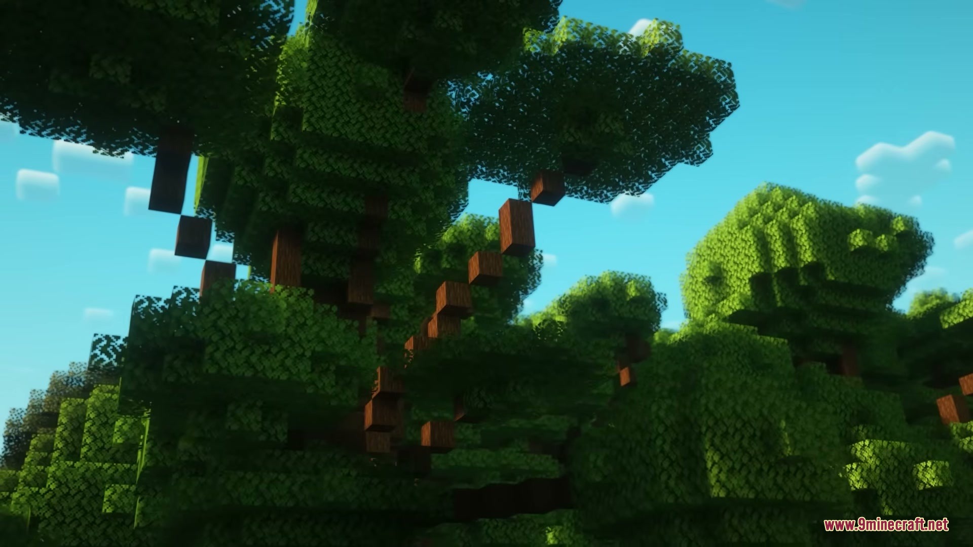 Woodlands the Core Mod Screenshot 5 A massive custom tree with dense green leaves reaches toward the bright blue sky