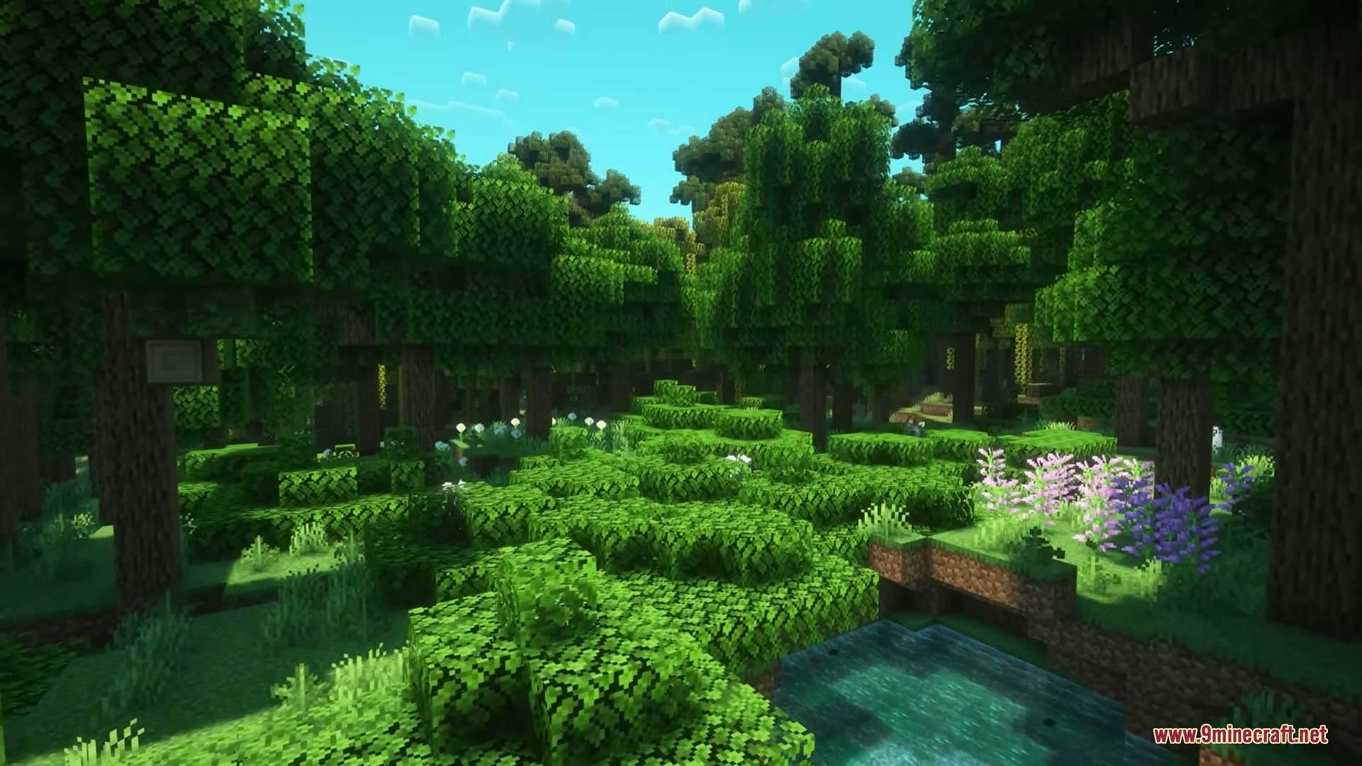 Woodlands the Core Mod Screenshot 8 Lush forest with dense ground cover and flowers using standard vanilla blocks