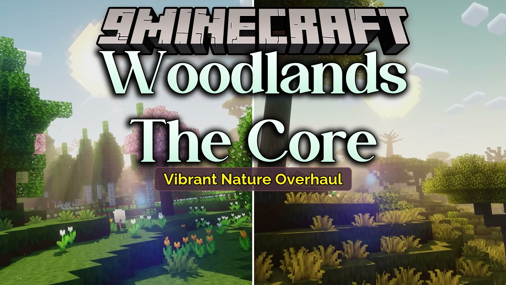 Woodlands the Core Mod