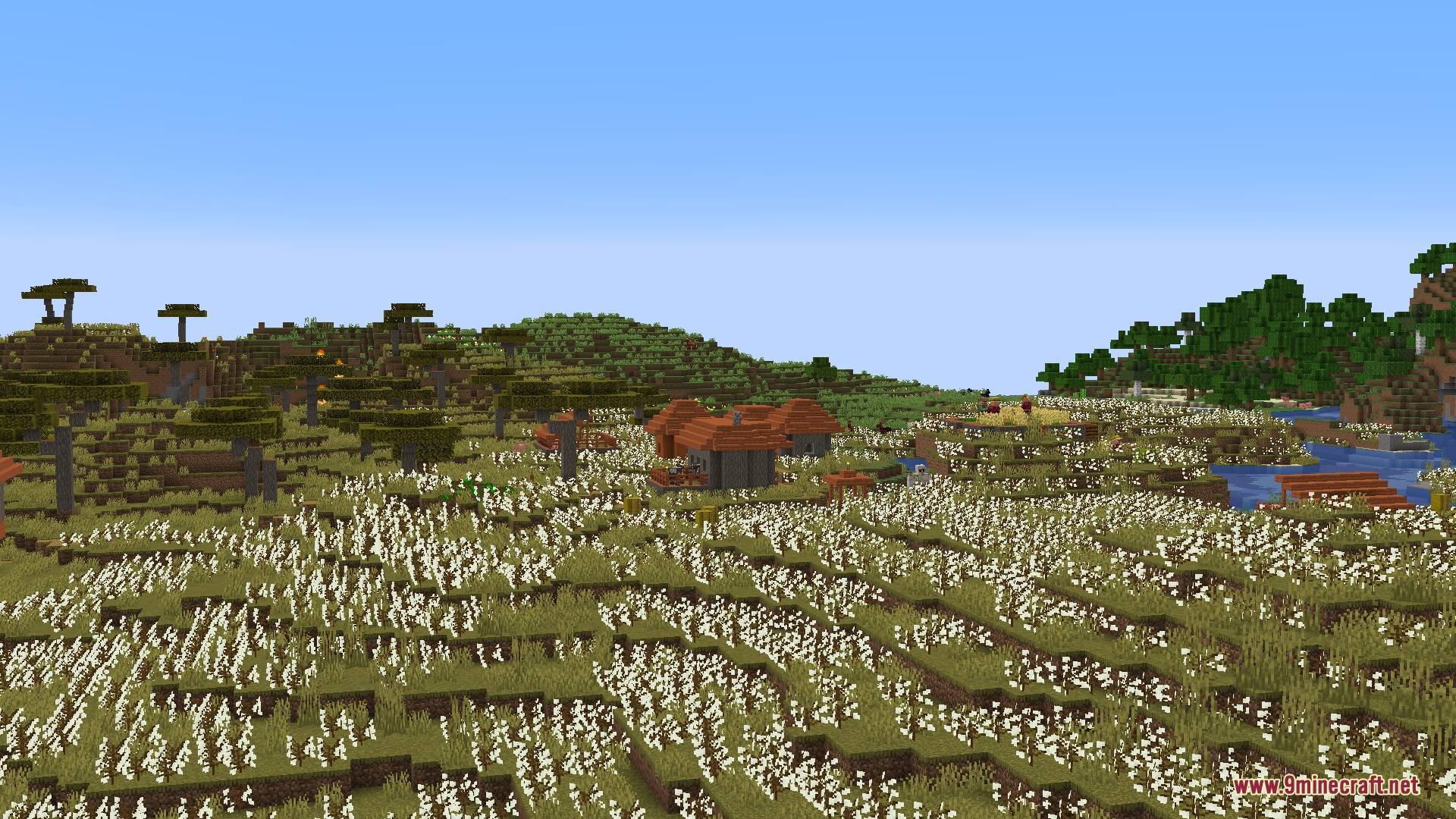 Woven Essence Persona Mod Screenshot 3 Wild cotton plants grow across a savanna biome next to small houses