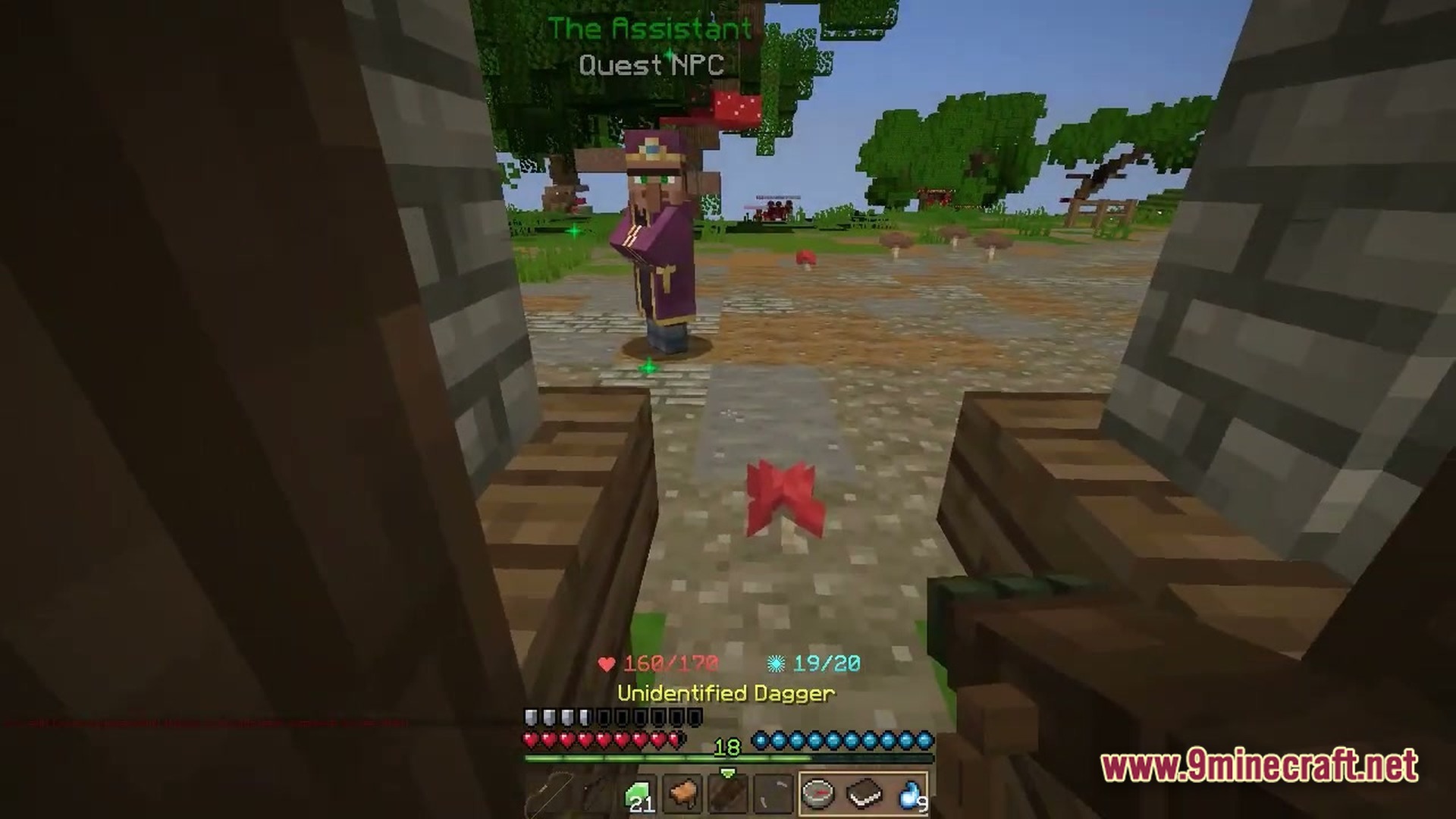 Wynnbound Essentials Modpack Screenshot 5 A player holds an Unidentified Dagger while approaching a quest NPC named The Assistant
