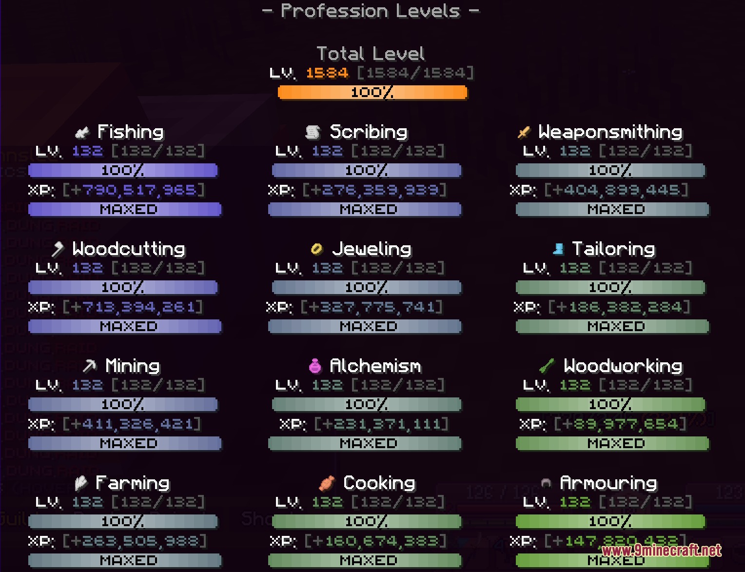 Wynnmod Mod Screenshot 8 Minecraft menu showing all character profession levels reaching the maximum level