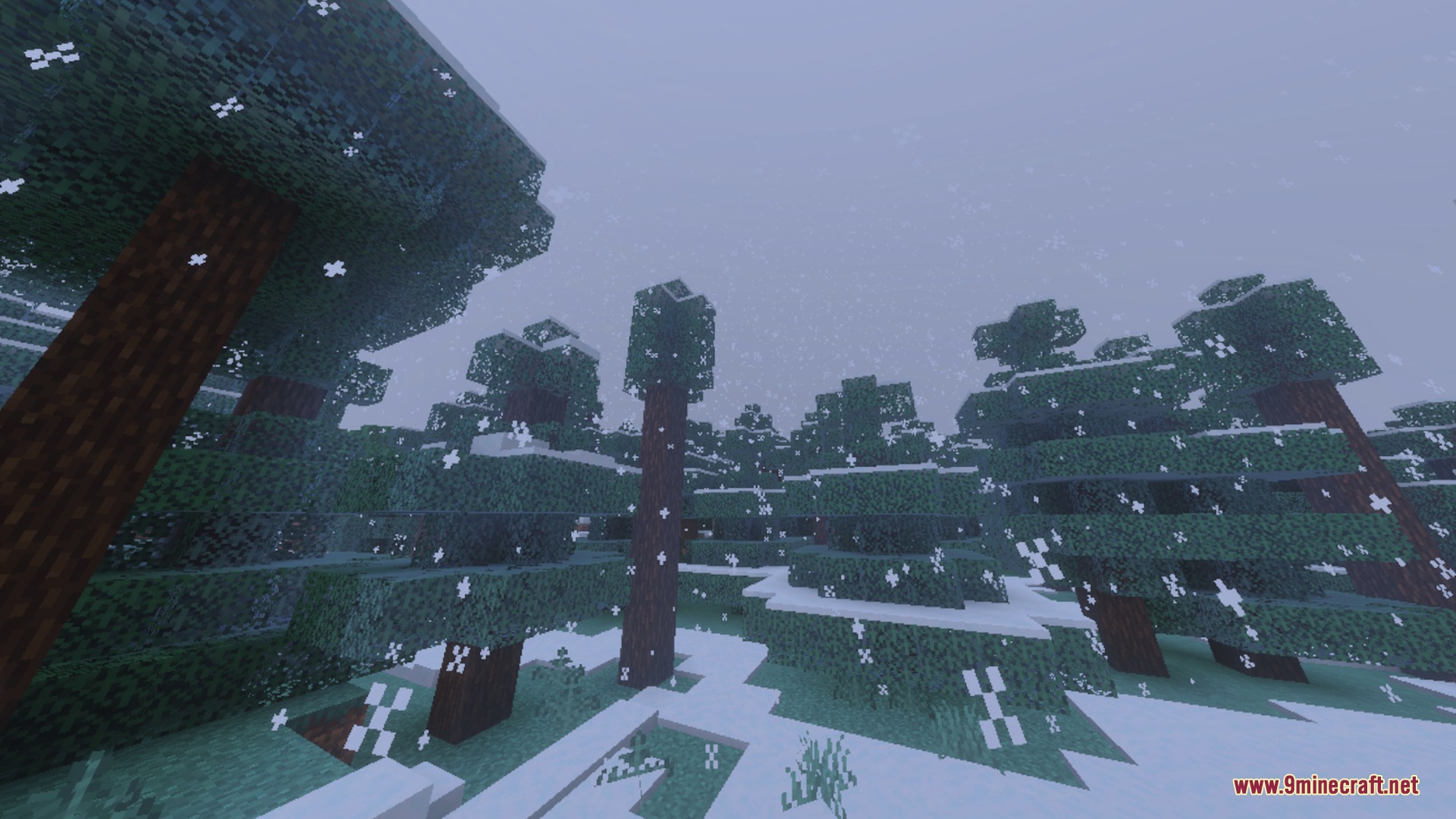 X-ray Plus+ Shader Screenshot 10 Snow falling over a cold spruce forest biome with white snow covered trees