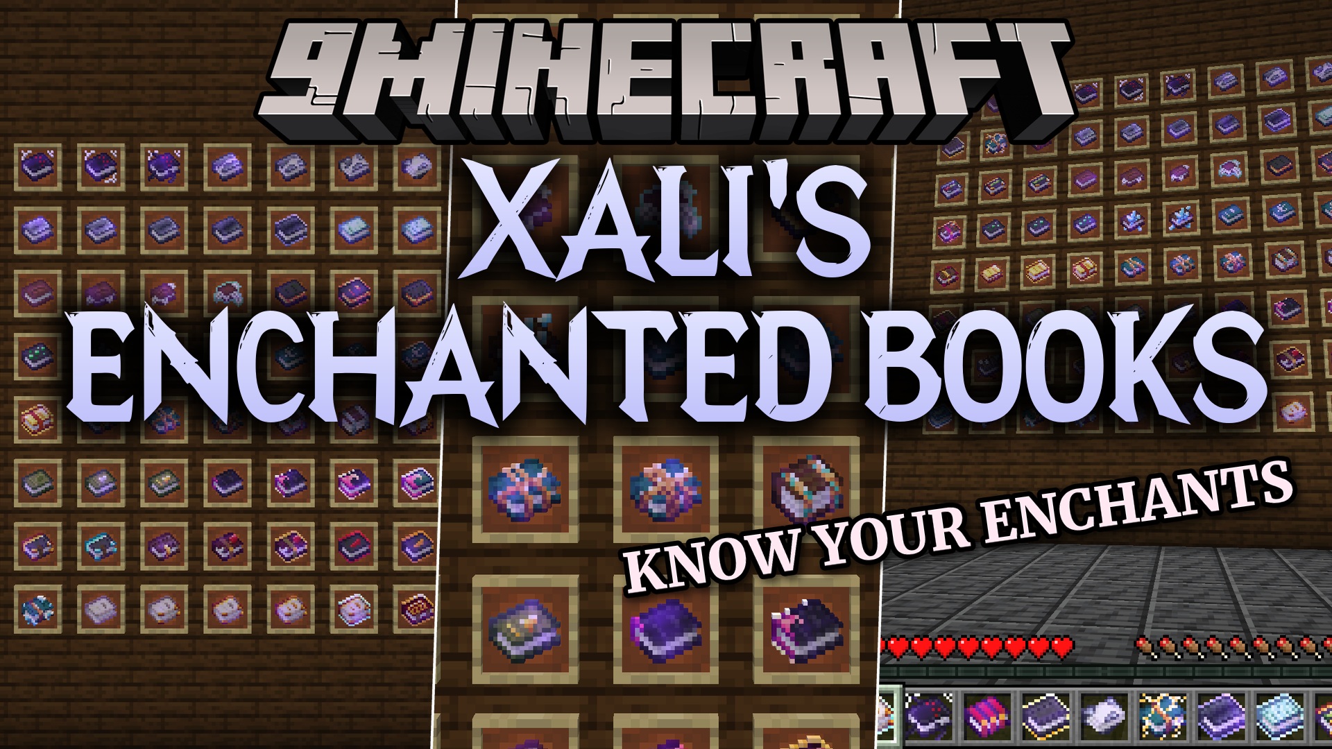 Xali's Enchanted Books resource pack gives every enchanted book its own unique cover art so you can tell your enchantments apart at a glance