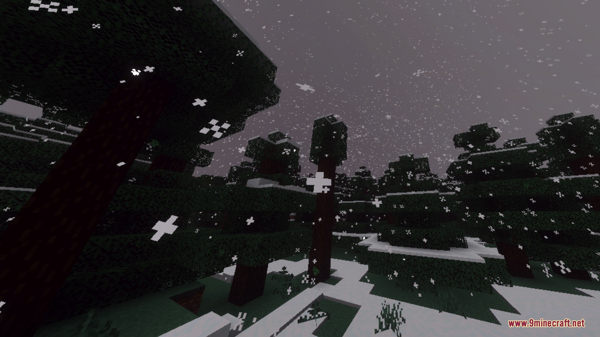 A dark winter forest with large snowflakes falling over the snowy ground