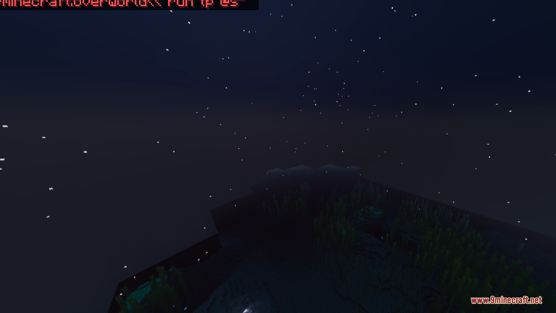 A dark night sky filled with stars over plants in a Minecraft world