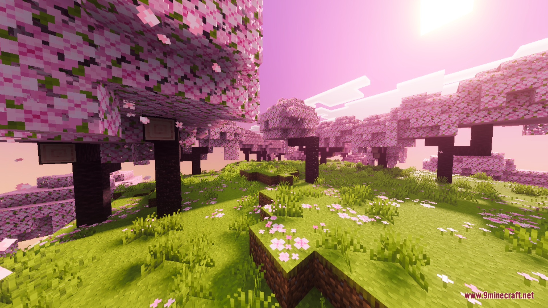 Vibrant cherry blossom trees with pink leaves and flowers in a sunny landscape