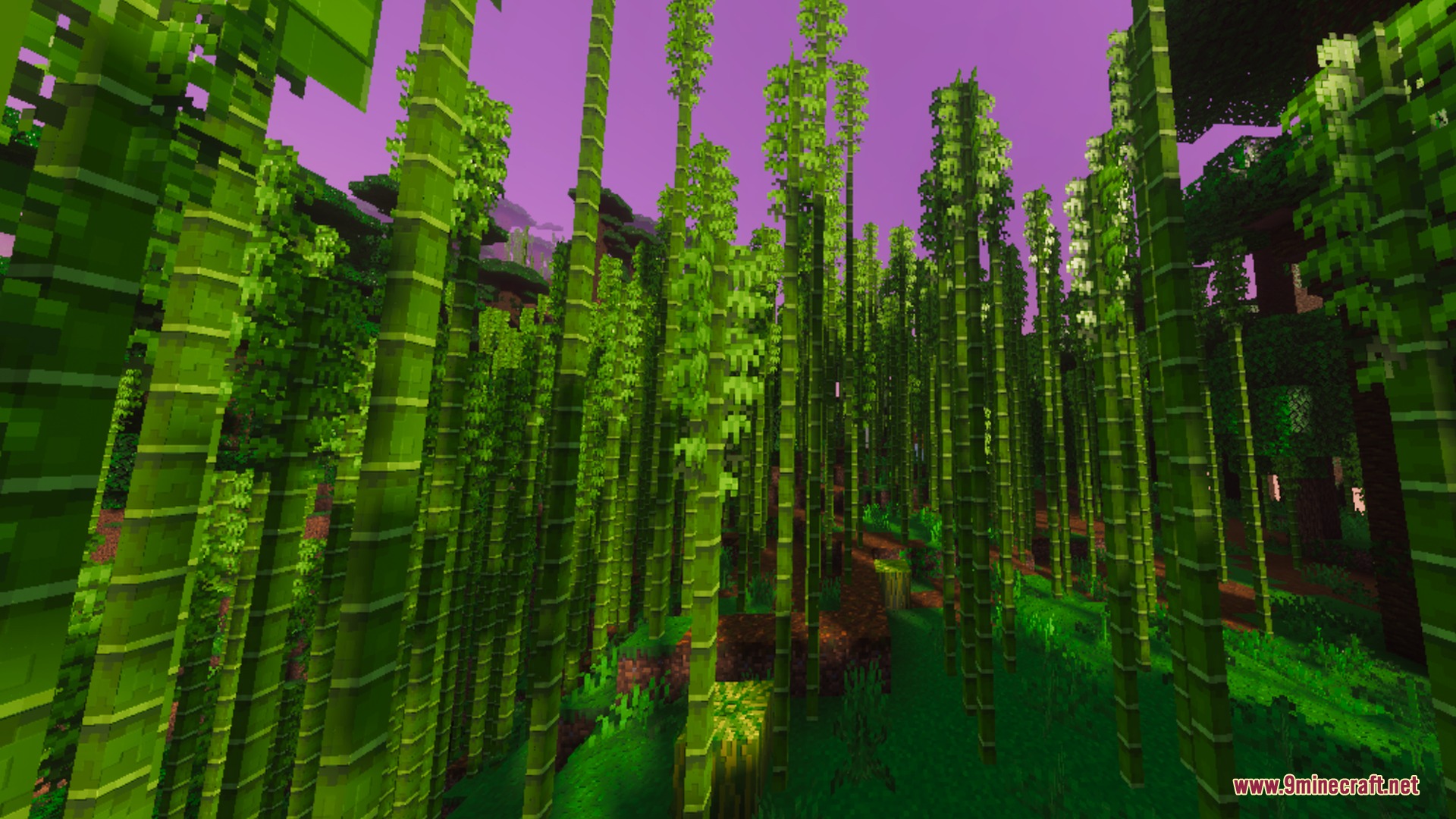 Tall green bamboo stalks in a dense forest under a glowing purple sky