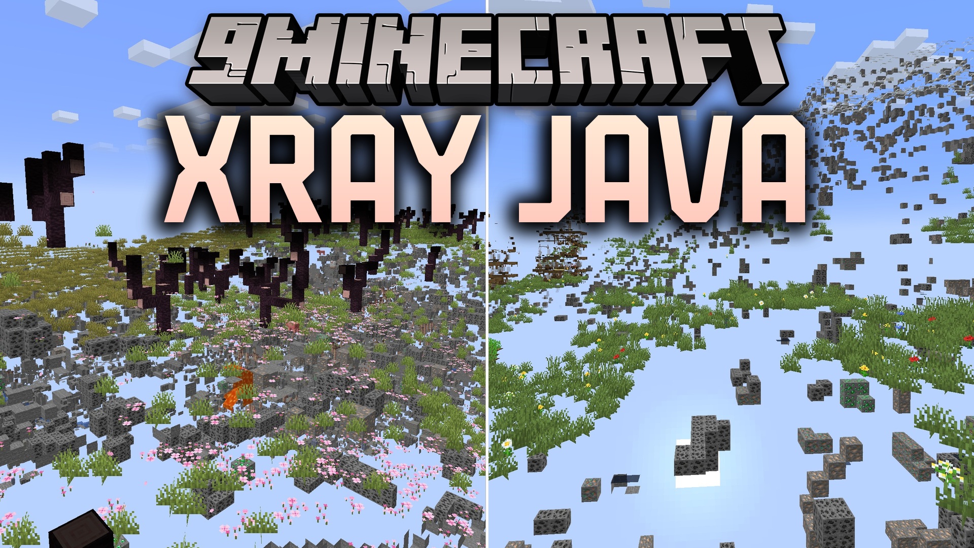 Xray Java Resource Pack