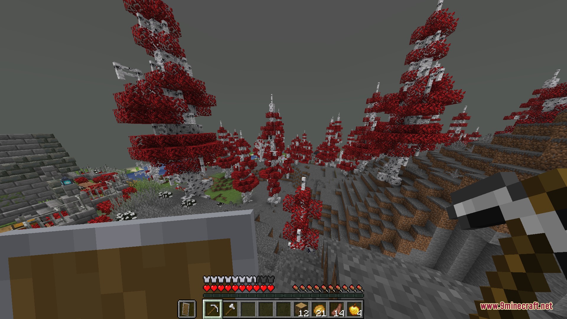 Zedonho Mod Screenshot 2 A first person view of a biome with red and white trees