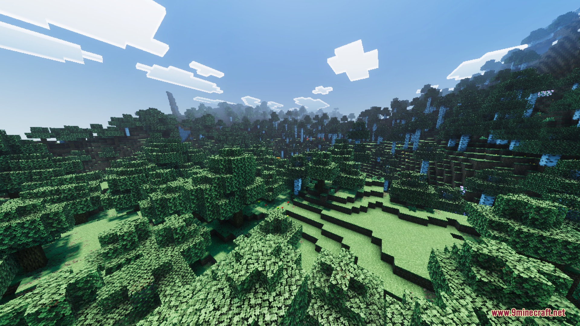 ZenXveda Shaders Screenshot 2 Dense forest landscape with oak and birch trees under a bright blue sky