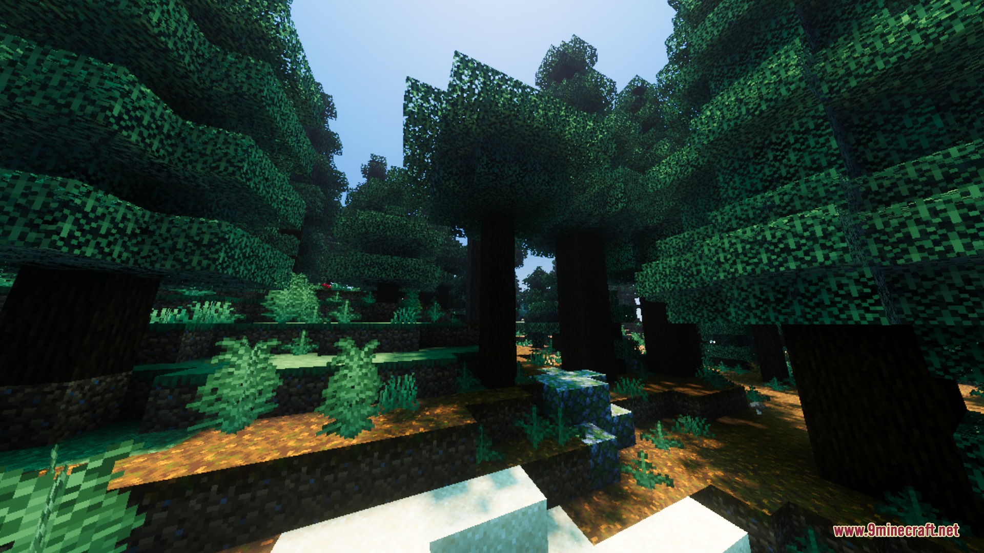 ZenXveda Shaders Screenshot 3 ZenXveda shader enhances a dense spruce forest with realistic lighting and shadows