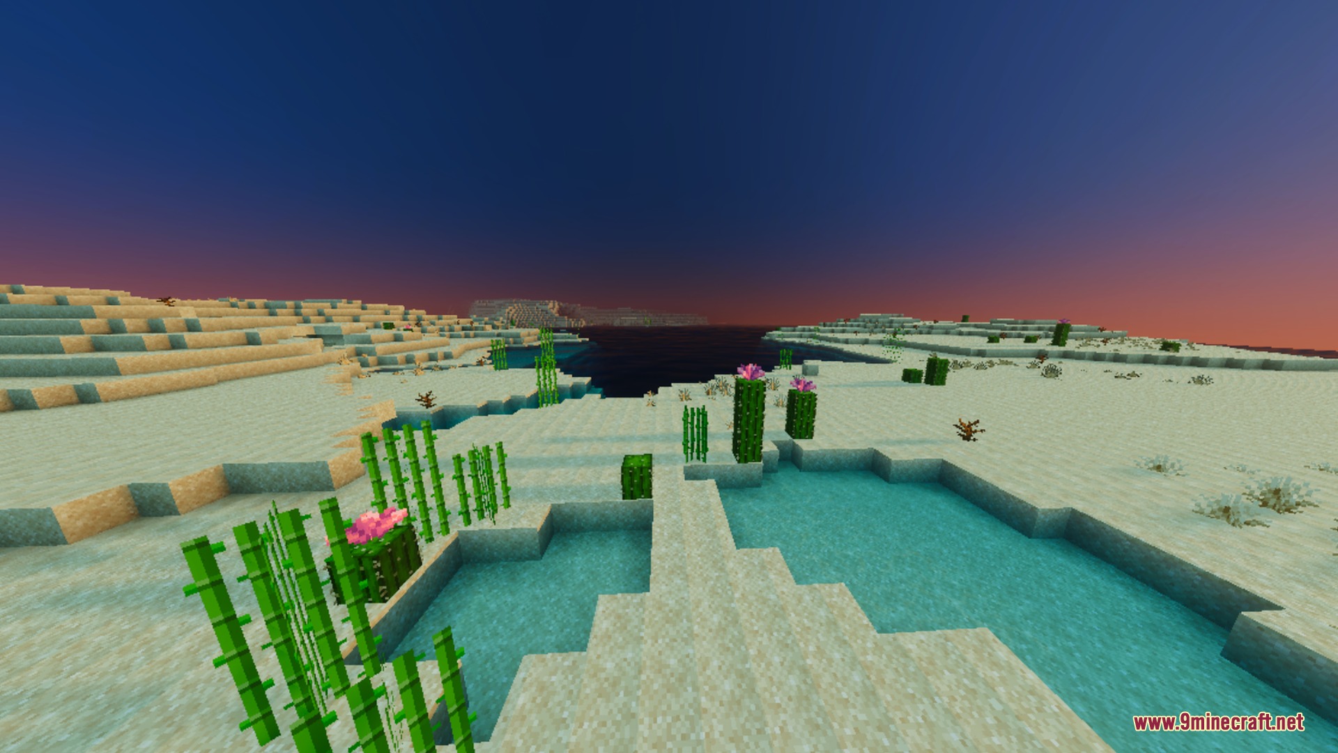 ZenXveda Shaders Screenshot 4 A desert biome featuring cacti and sugar cane during a colorful sunset