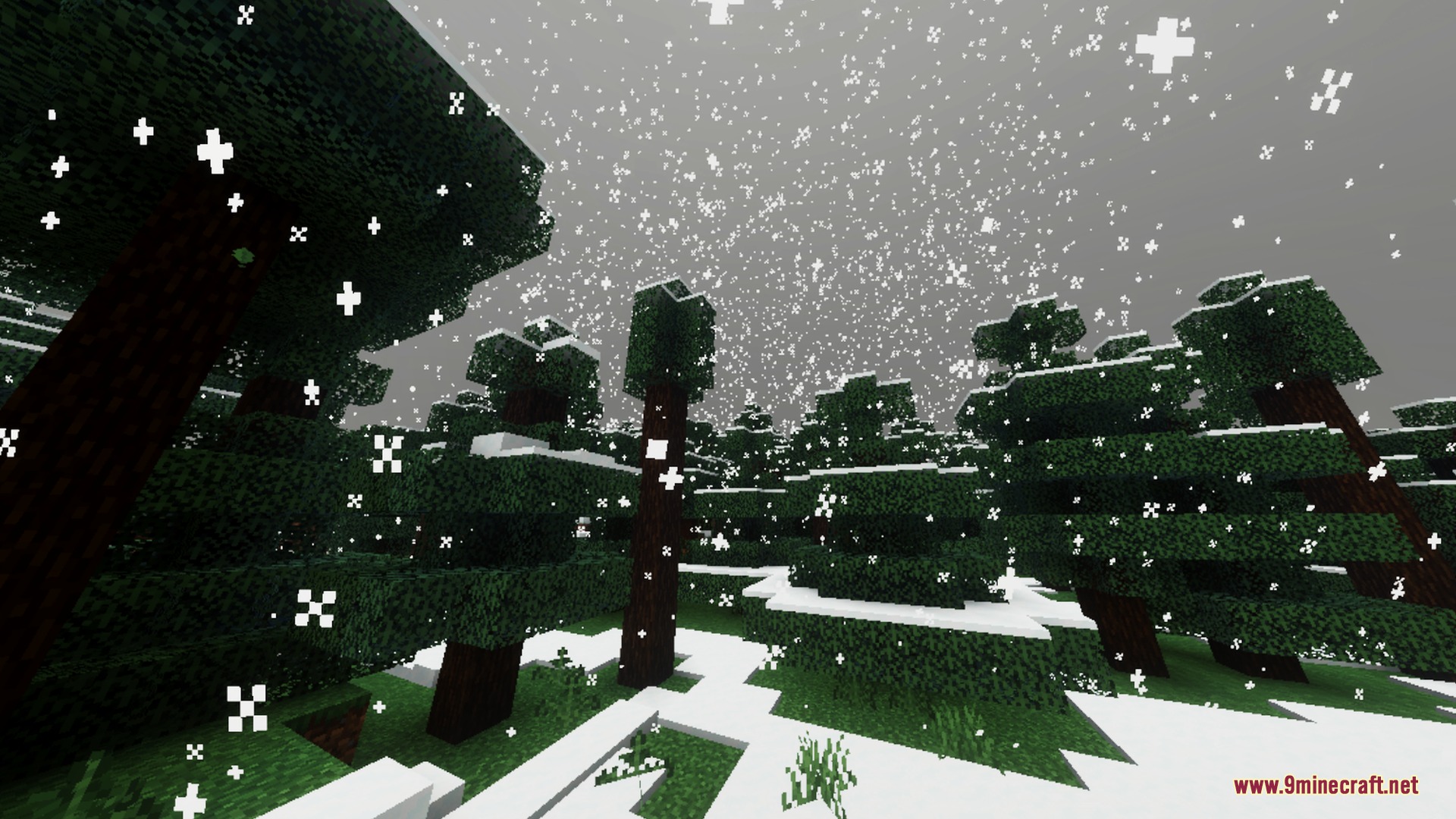 ZenXveda Shaders Screenshot 5 Snowflakes falling in a dense forest of spruce trees during a winter storm