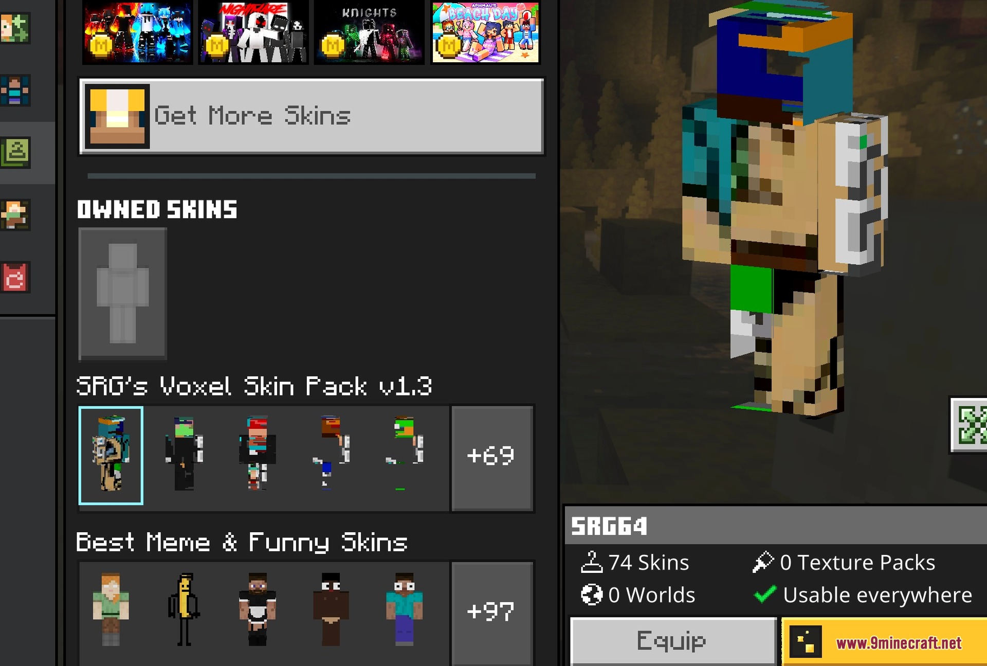 One of the skins worn on the character
