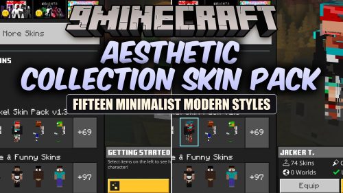 Aesthetic Collection Skin Pack (MCPE) Thumbnail