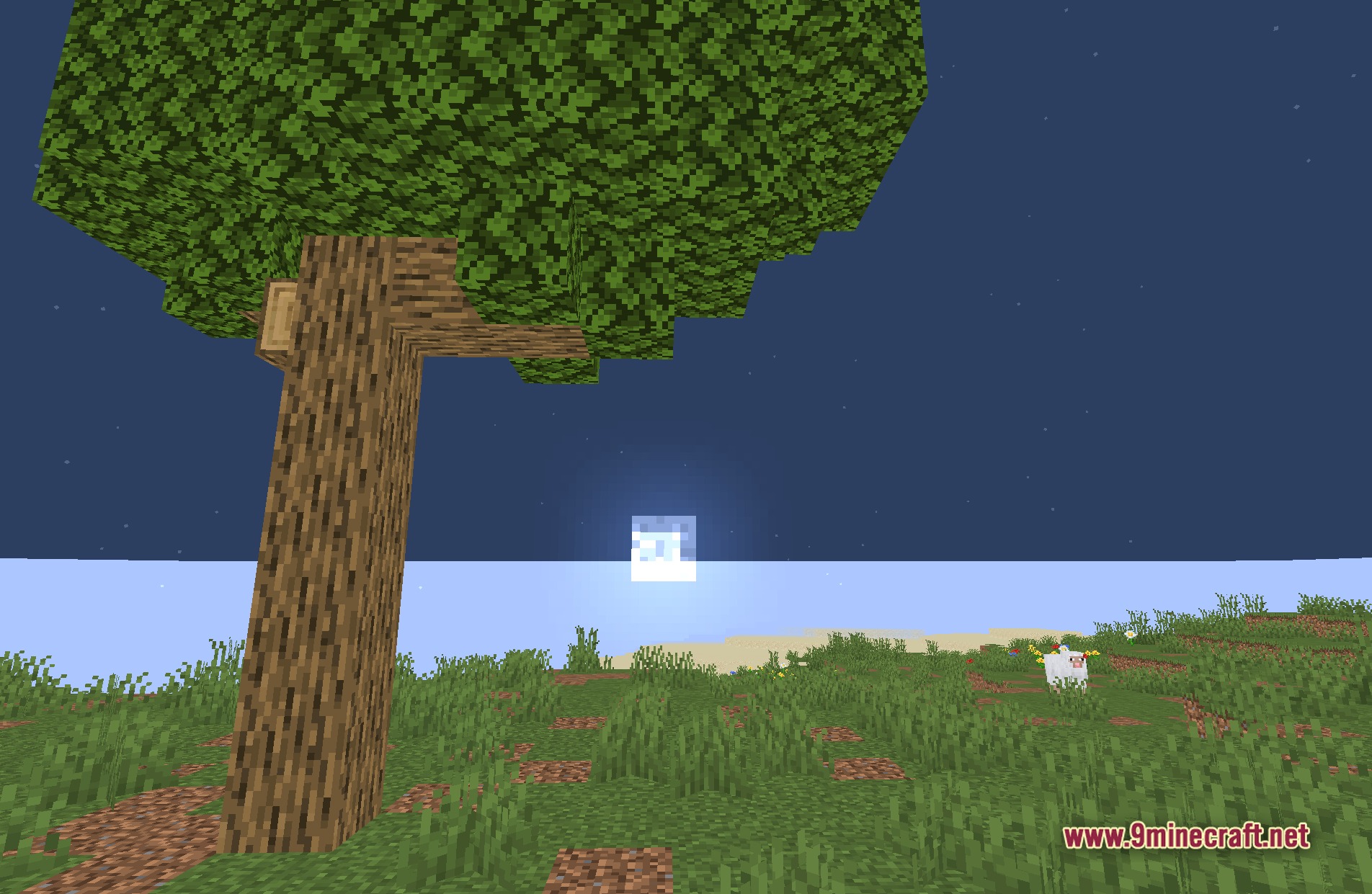 Authentic Night Vision Shaders Screenshot 3