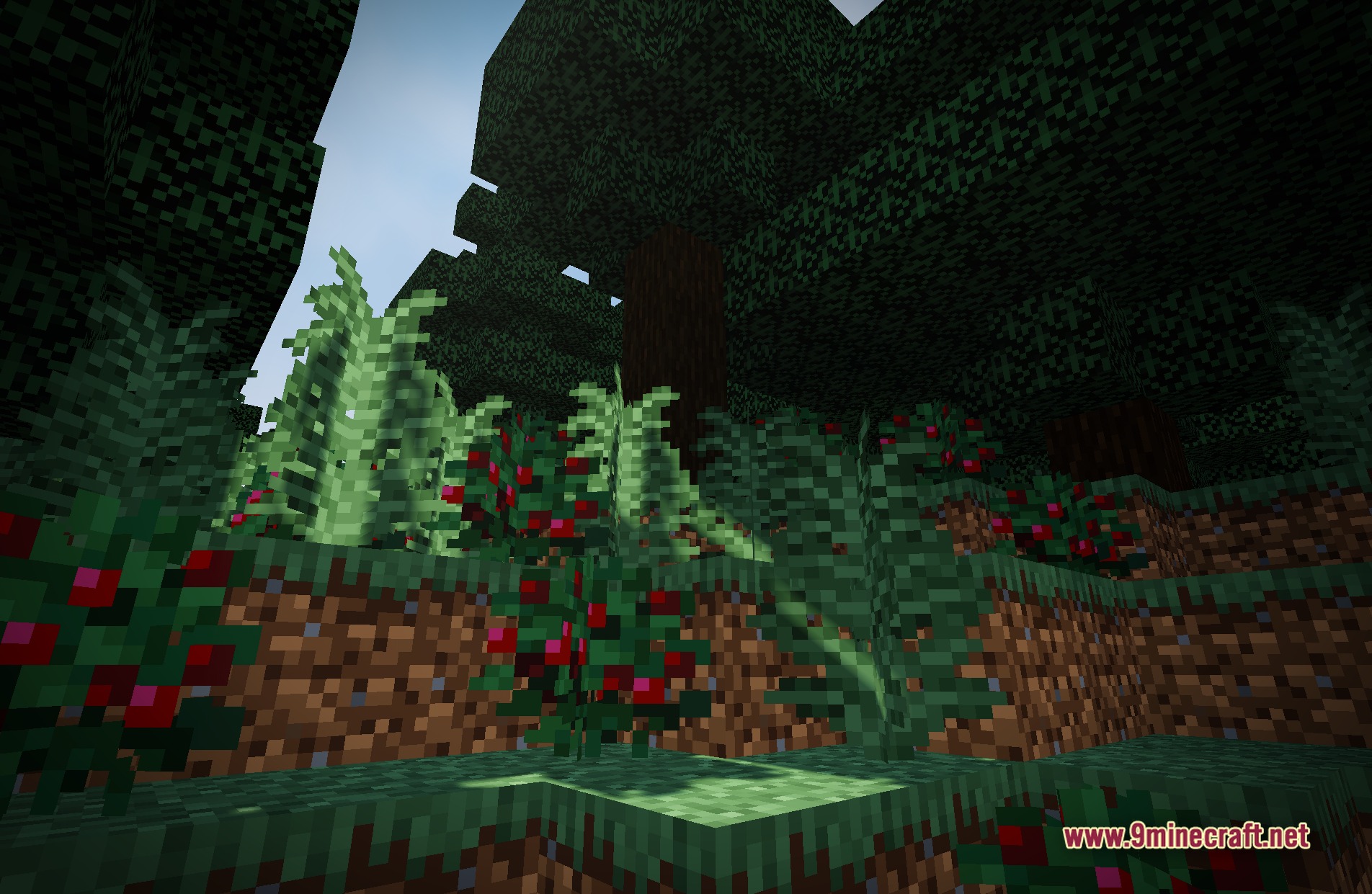 Author87668's LIGHT Shaders Screenshot 3