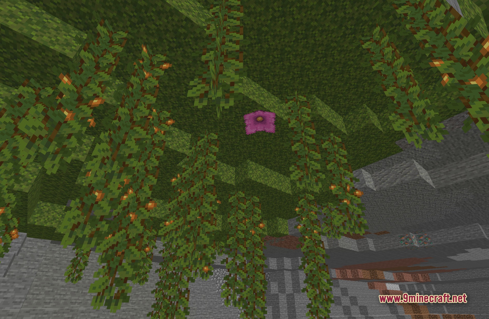 BDS Better Default Shaders Screenshot 7