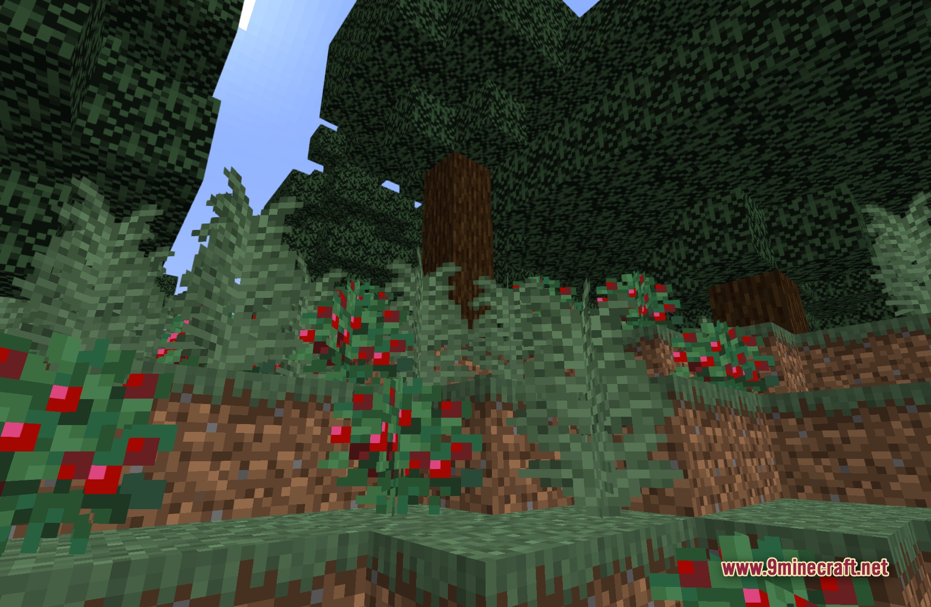 BDS Better Default Shaders Screenshot 8