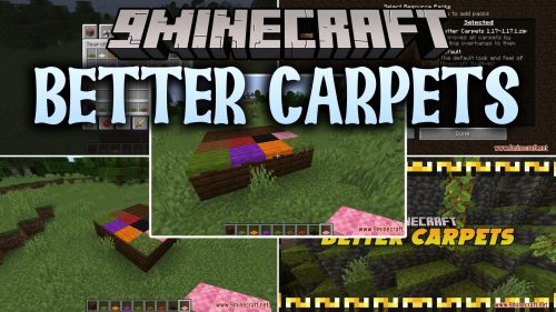 Better Carpets thumbnail