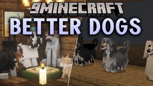Better Dogs thumbnail