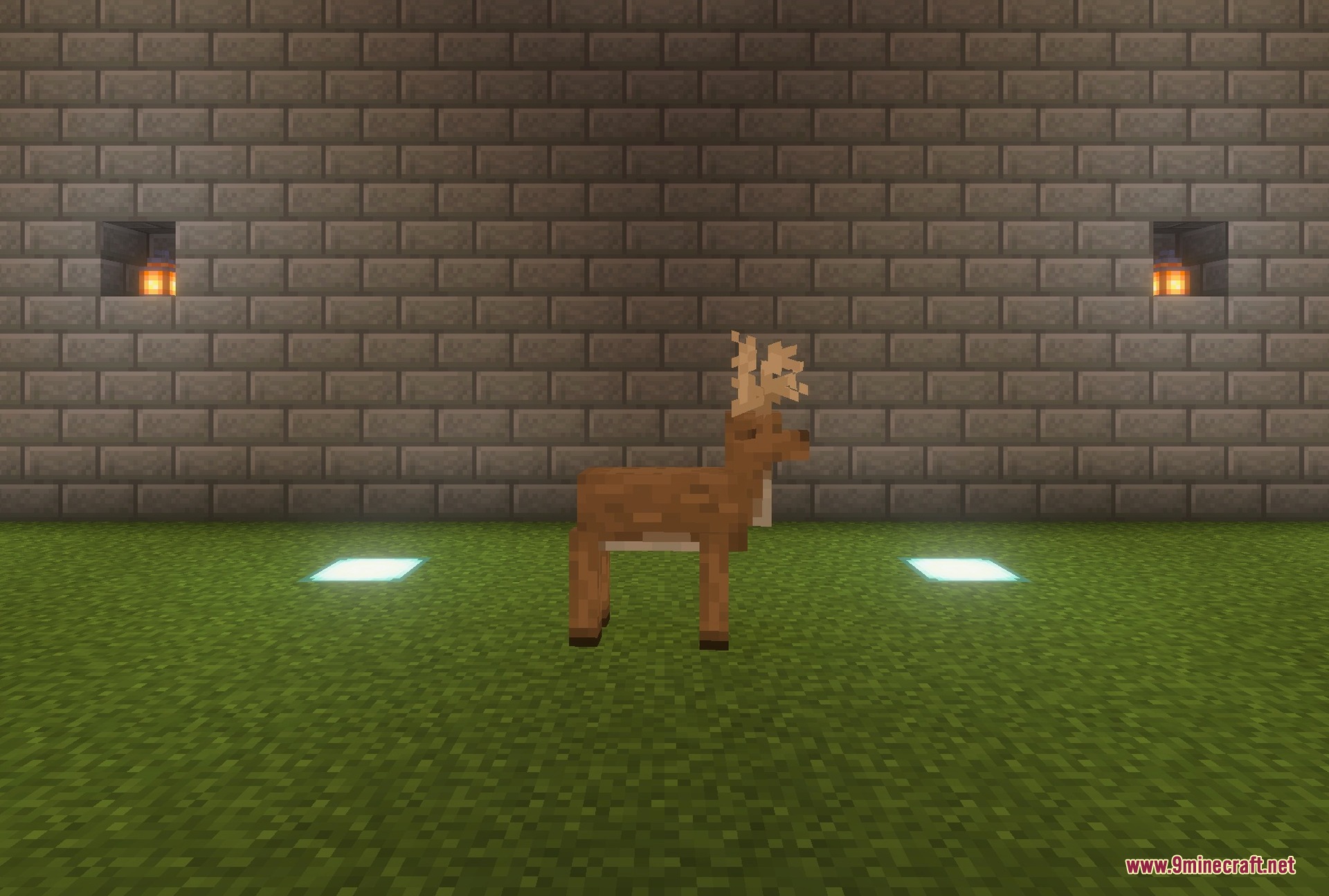 Biomes Beyond Addon Screenshot 3 One of the addon's deer, seen up close