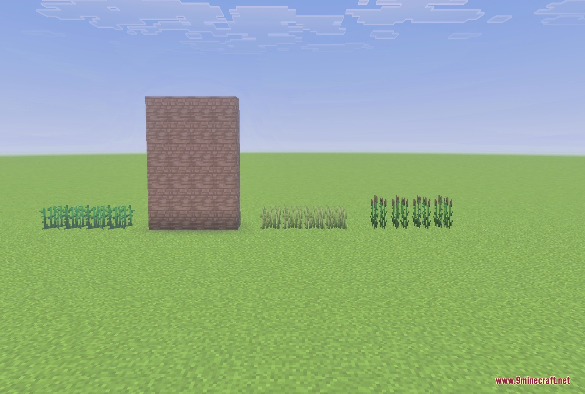 Biomes Beyond Addon Screenshot 4 New plants and blocks from the addon: ivy, reeds, barley and cattail