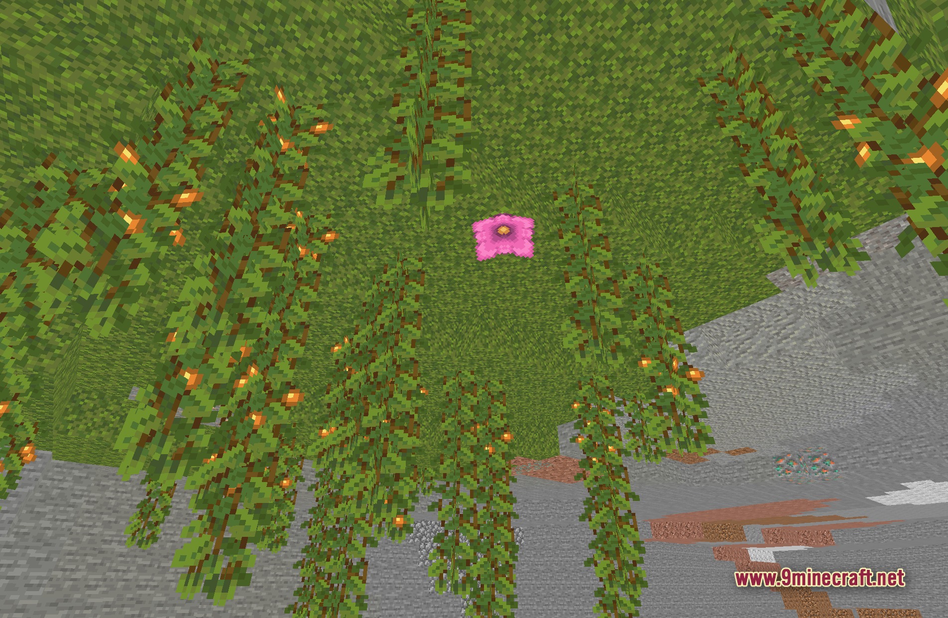 Bitmap Vanilla Shaders Screenshot 2