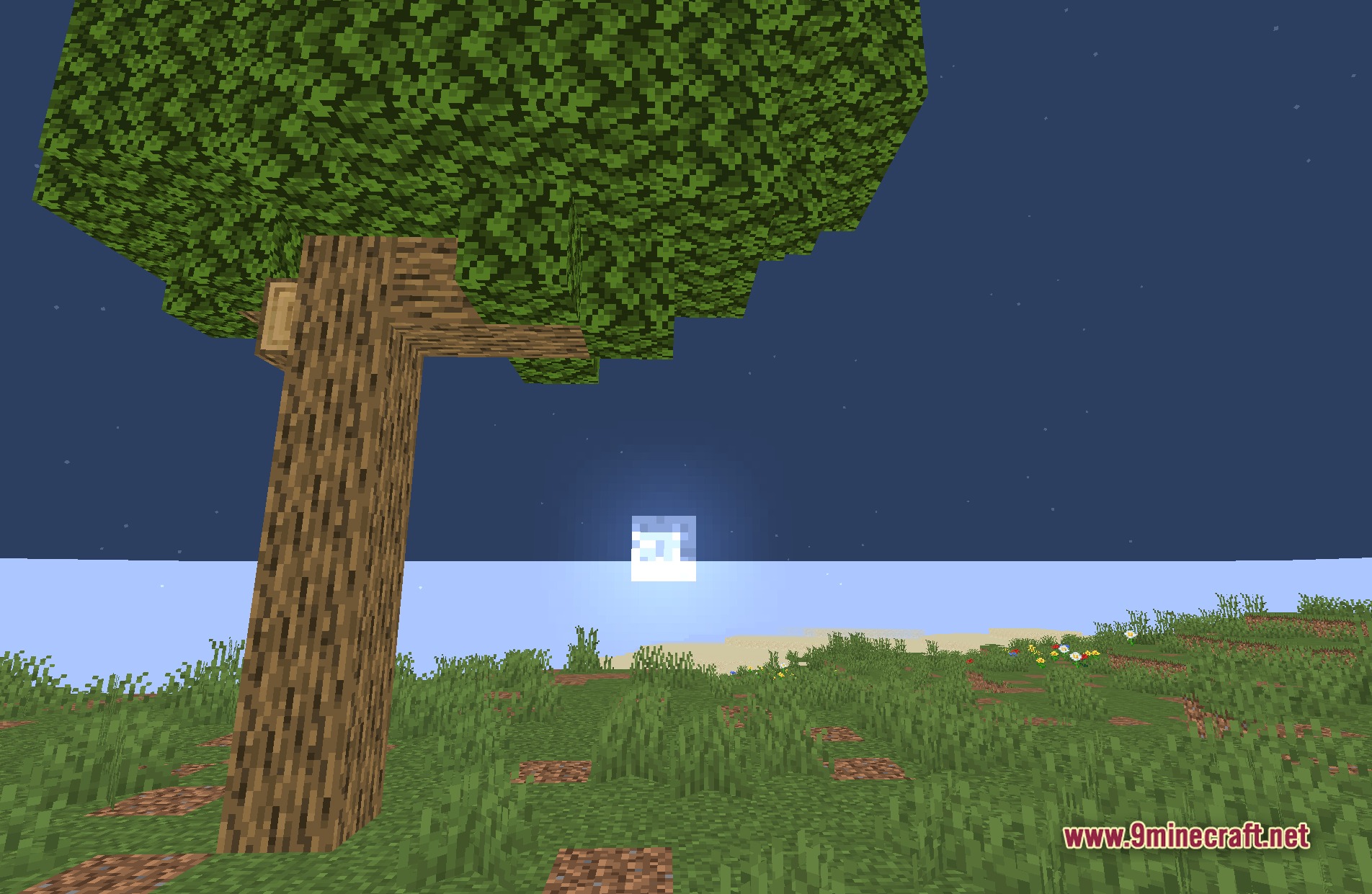 Bitmap Vanilla Shaders Screenshot 8