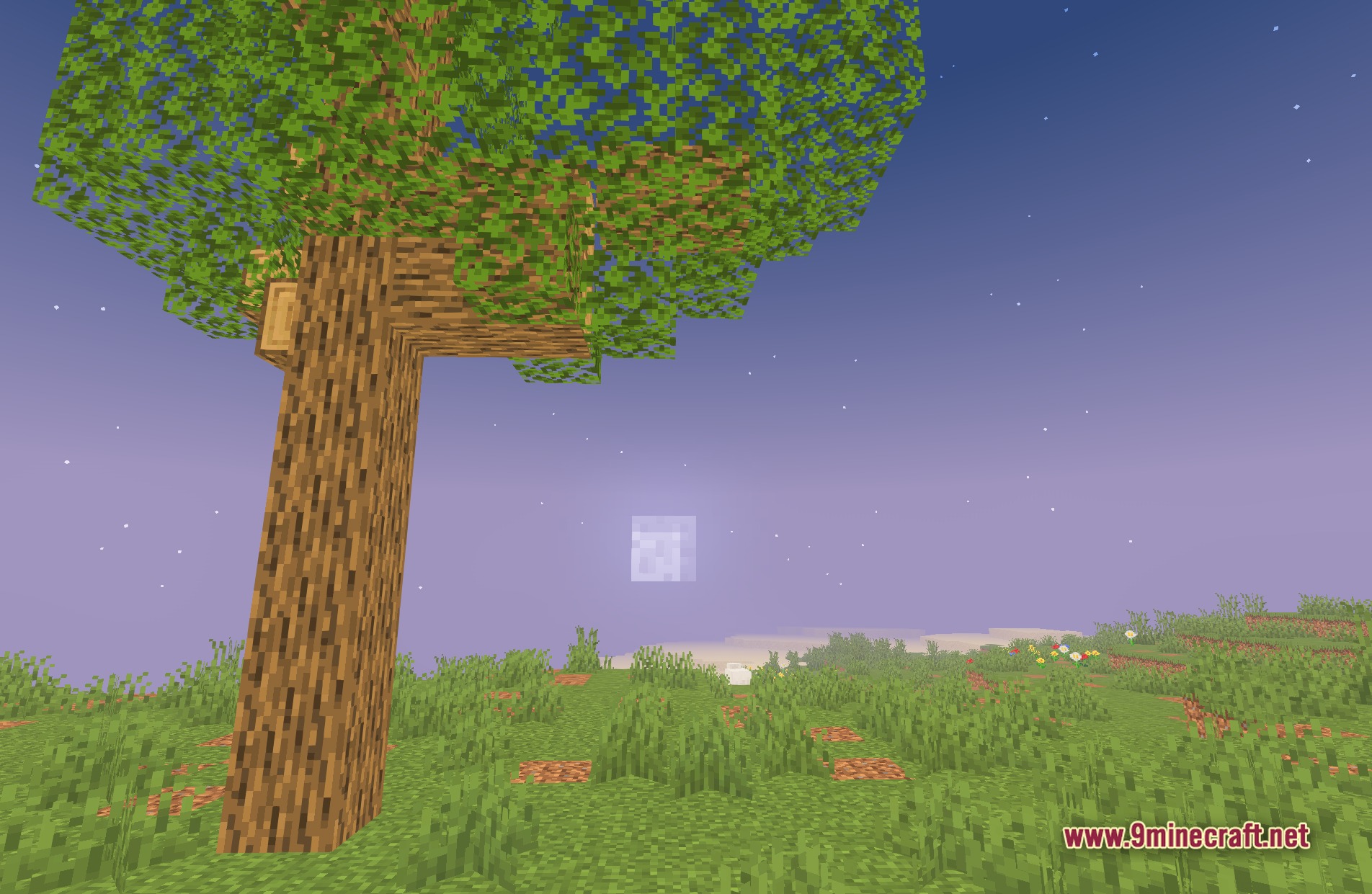Blocky Shaders Screenshot 10