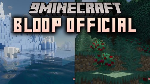 Bloop Official Shaders