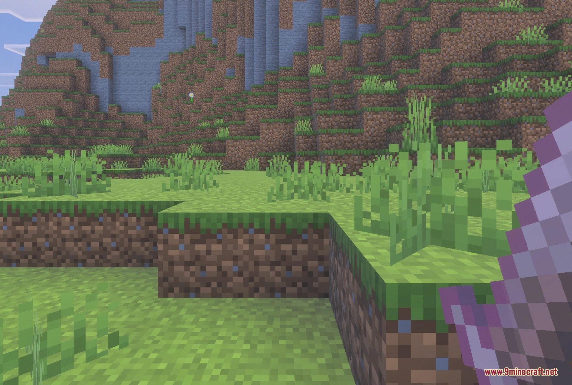 Holding the netherite sword in first person